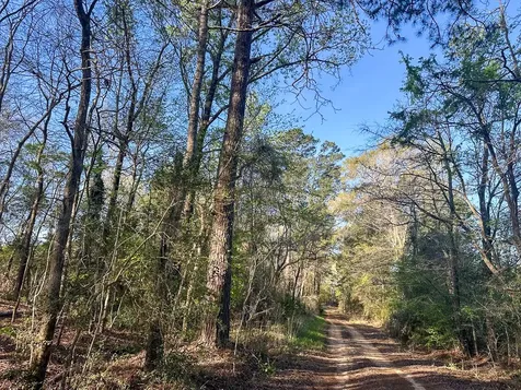 2 Highway 146 Livingston TX 77351