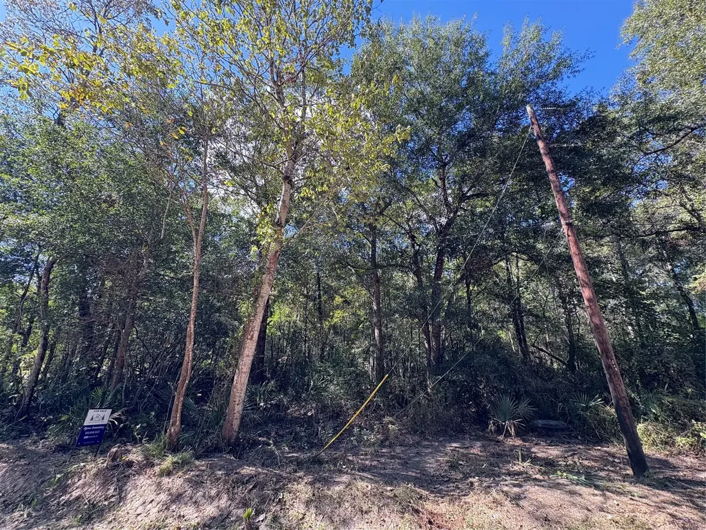 Lot 242 Mehringer Road Shepherd TX 77371