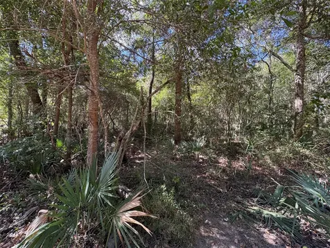Lot 242 Mehringer Road Shepherd TX 77371