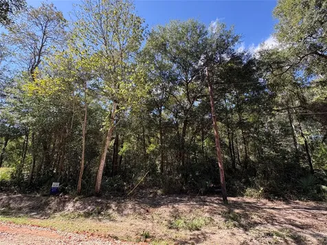 Lot 242 Mehringer Road Shepherd TX 77371