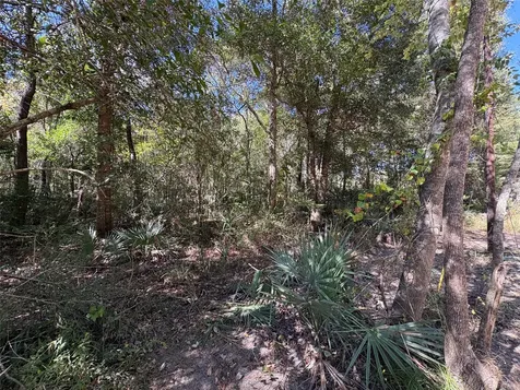 Lot 242 Mehringer Road Shepherd TX 77371