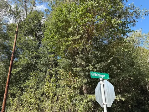 Lot 242 Mehringer Road Shepherd TX 77371