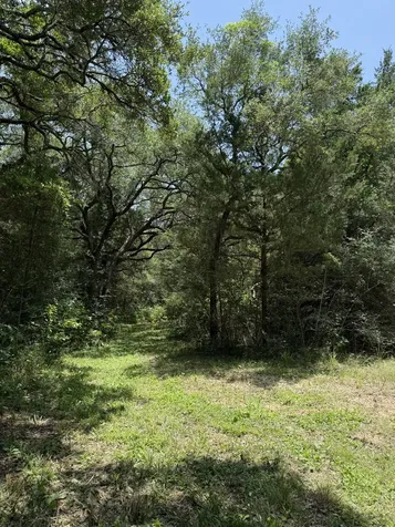 Tbd Rubin Lee Road Cat Spring TX 78933