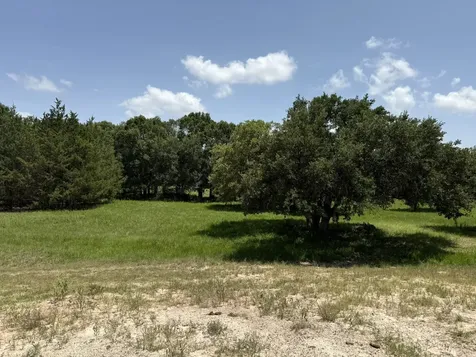 Tbd Rubin Lee Road Cat Spring TX 78933