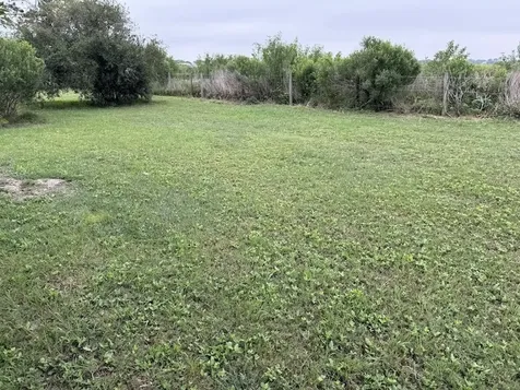 5589 County Road 469 Brazoria TX 77422