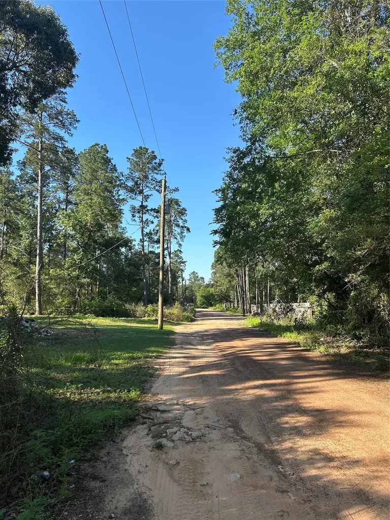 Tbd White Oak Drive Plantersville TX 77363