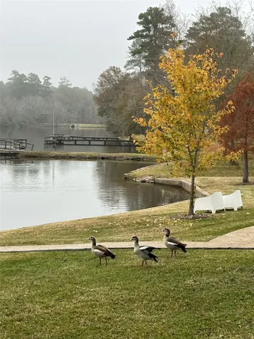 1 Sunset Lake Huntsville TX 77340