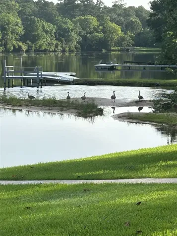 1 Sunset Lake Huntsville TX 77340
