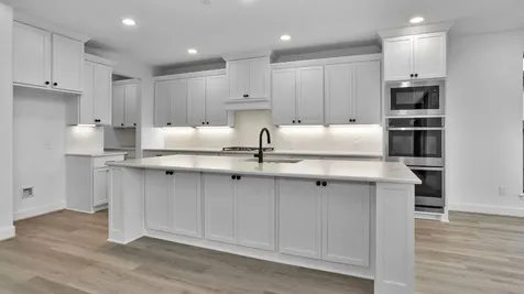8711 Incandesce Rise Drive Richmond TX 77406