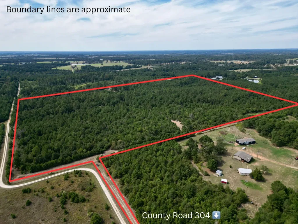 Tbd County Road 304 Navasota TX 77868
