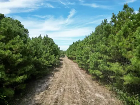 Tbd County Road 304 Navasota TX 77868