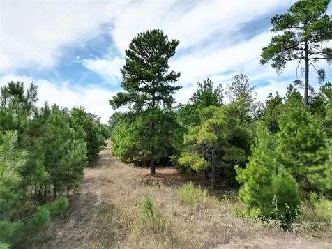 Tbd County Road 304 Navasota TX 77868