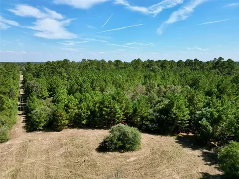 Tbd County Road 304 Navasota TX 77868