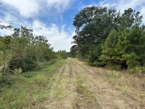 Tbd County Road 304 Navasota TX 77868