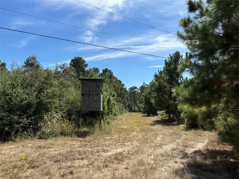 Tbd County Road 304 Navasota TX 77868