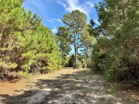 Tbd County Road 304 Navasota TX 77868