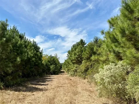 Tbd County Road 304 Navasota TX 77868