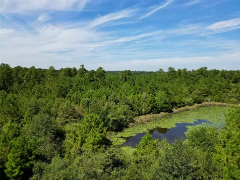 Tbd County Road 304 Navasota TX 77868