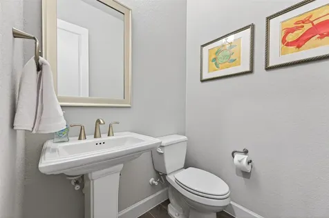 411 Callery Pear Court Conroe TX 77304