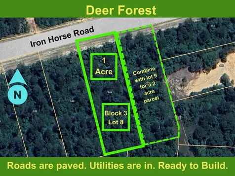 344 Iron Horse Road Willis TX 77378