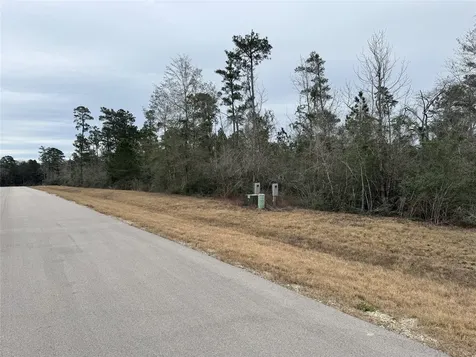 344 Iron Horse Road Willis TX 77378