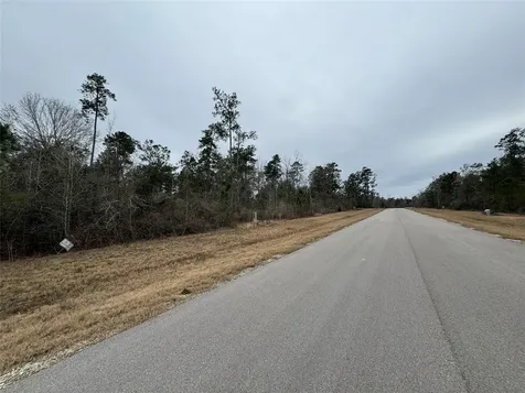 344 Iron Horse Road Willis TX 77378