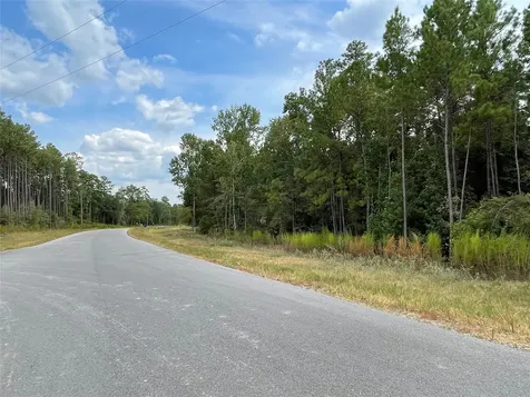 13-21-58 Bighorn Road New Waverly TX 77358