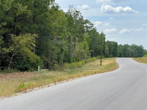 13-21-58 Bighorn Road New Waverly TX 77358