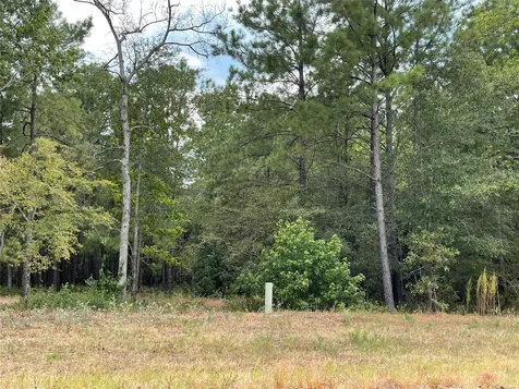 13-21-58 Bighorn Road New Waverly TX 77358