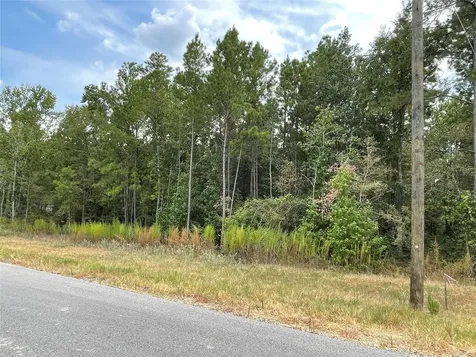 13-21-58 Bighorn Road New Waverly TX 77358