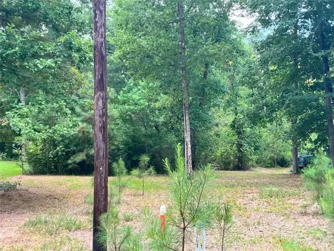 Tbd Little Creek Drive Coldspring TX 77331