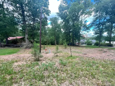 Tbd Little Creek Drive Coldspring TX 77331