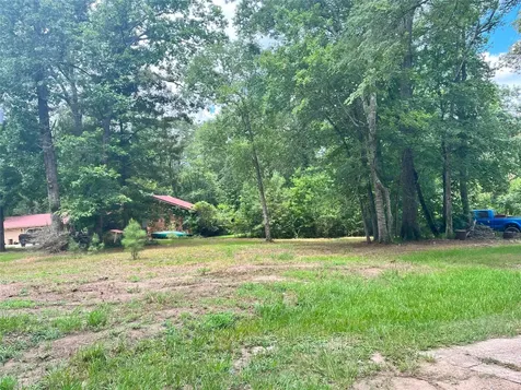Tbd Little Creek Drive Coldspring TX 77331