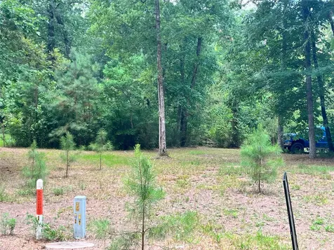 Tbd Little Creek Drive Coldspring TX 77331