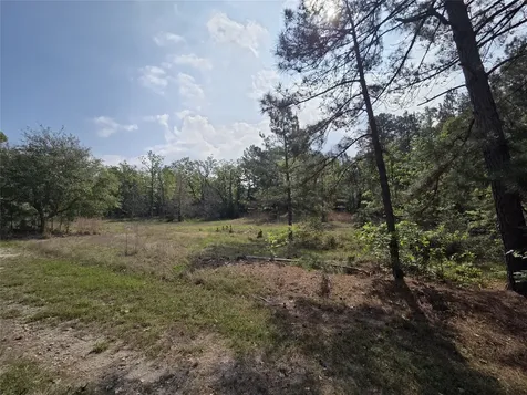 2.58 Acres Oakdale Drive Huntsville TX 77320