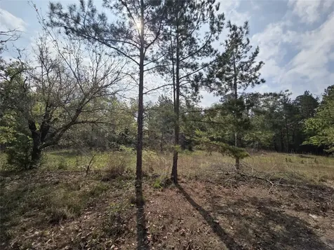 2.58 Acres Oakdale Drive Huntsville TX 77320