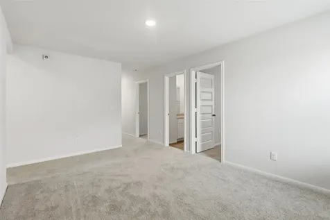 8380 Bristlecone Magnolia TX 77354