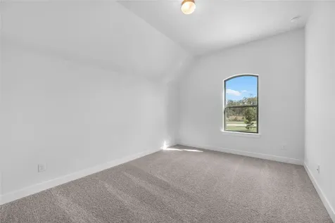 1619 Summer Pine Court Missouri City TX 77459