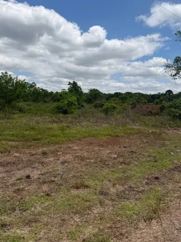 1711 County Road 773 Angleton TX 77515