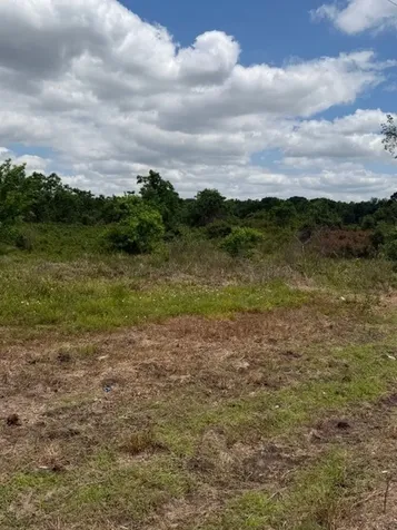1711 County Road 773 Angleton TX 77515