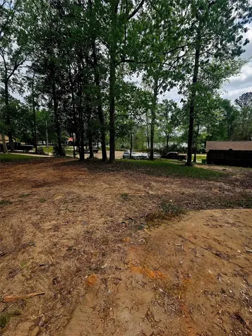 13095 Royal Shores Drive Conroe TX 77303