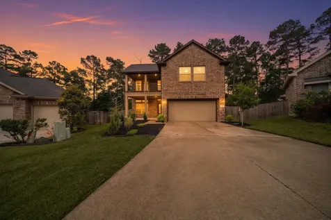 206 Elianne Lace Court Conroe TX 77318
