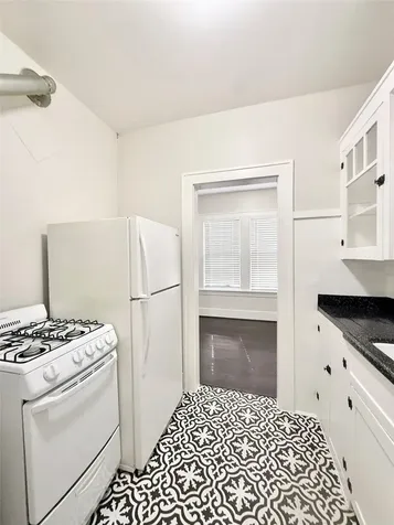 1126 Berthea Street 11 Houston TX 77006