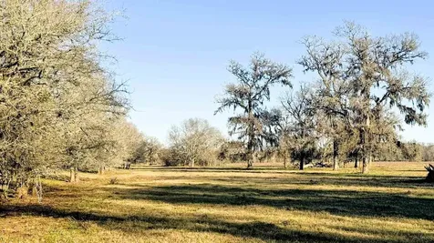 1458 Fm-1458 Pattison TX 77423