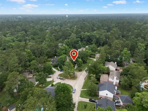 59 Fire Flicker Place The Woodlands TX 77381