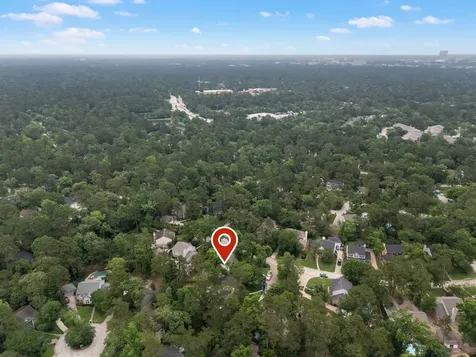 59 Fire Flicker Place The Woodlands TX 77381