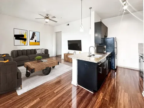 306 Mc Gowen Street 1110 Houston TX 77006