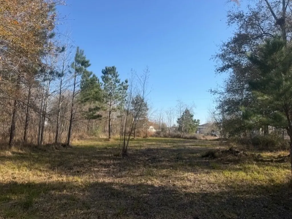 761 County Road 3556 Cleveland TX 77327