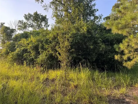 21269 Bracewell Road Bedias TX 77831