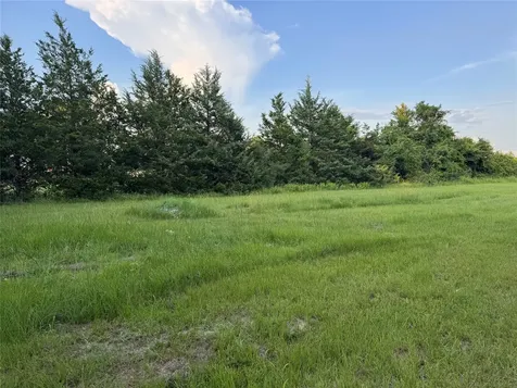 21269 Bracewell Road Bedias TX 77831